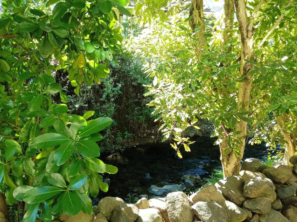 La Rochelle Motel Akaroa Zewnętrze zdjęcie